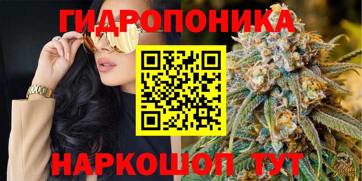 Бошки Шишки тримм  Каннабис план  Кимовск  Вход с VPN 